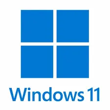 Windows 11 License 